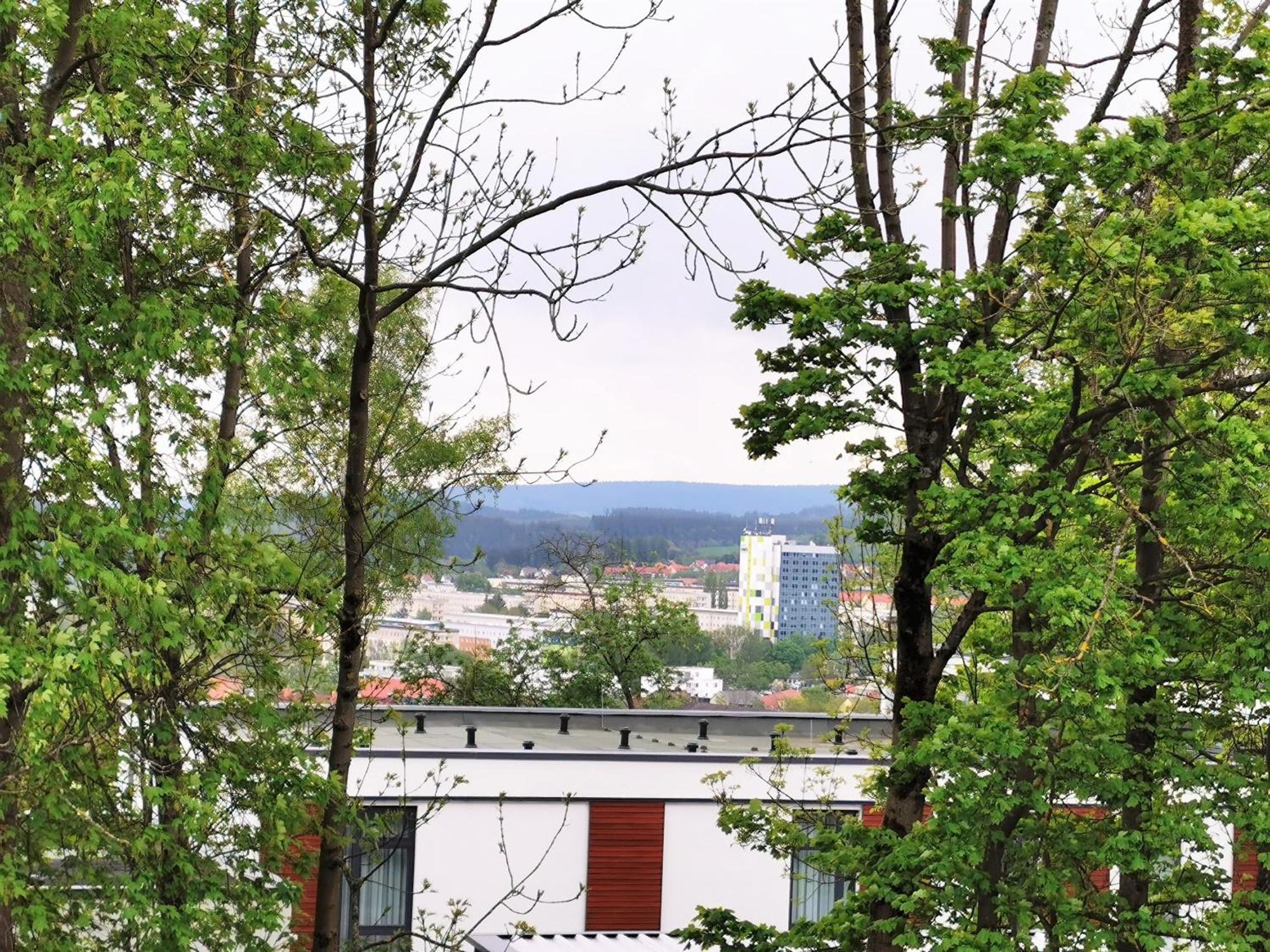 Bohnapartments - Stadtblick Zechenhaus - Balkon - Gratis Parkplatz - Wlan - Sehr Ruhig - Barrierearm Ильменау Экстерьер фото